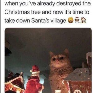 Meet your Posher, Raffaele